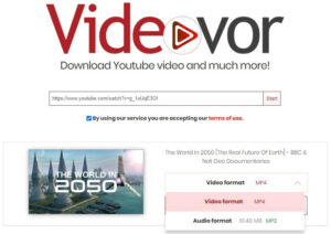 VideoVor Video Downloader
