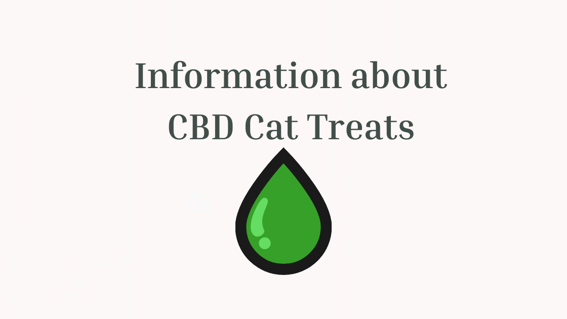 Information about CBD Cat Treats