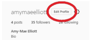 Edit Profil Instagram