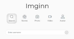 Imginn Instagram Search