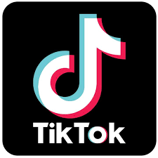 TikTok Logo