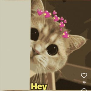 Hey