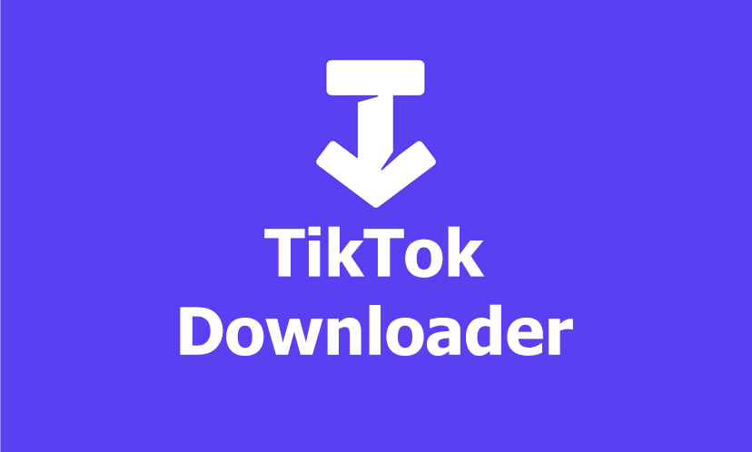 SSSTik Downloader