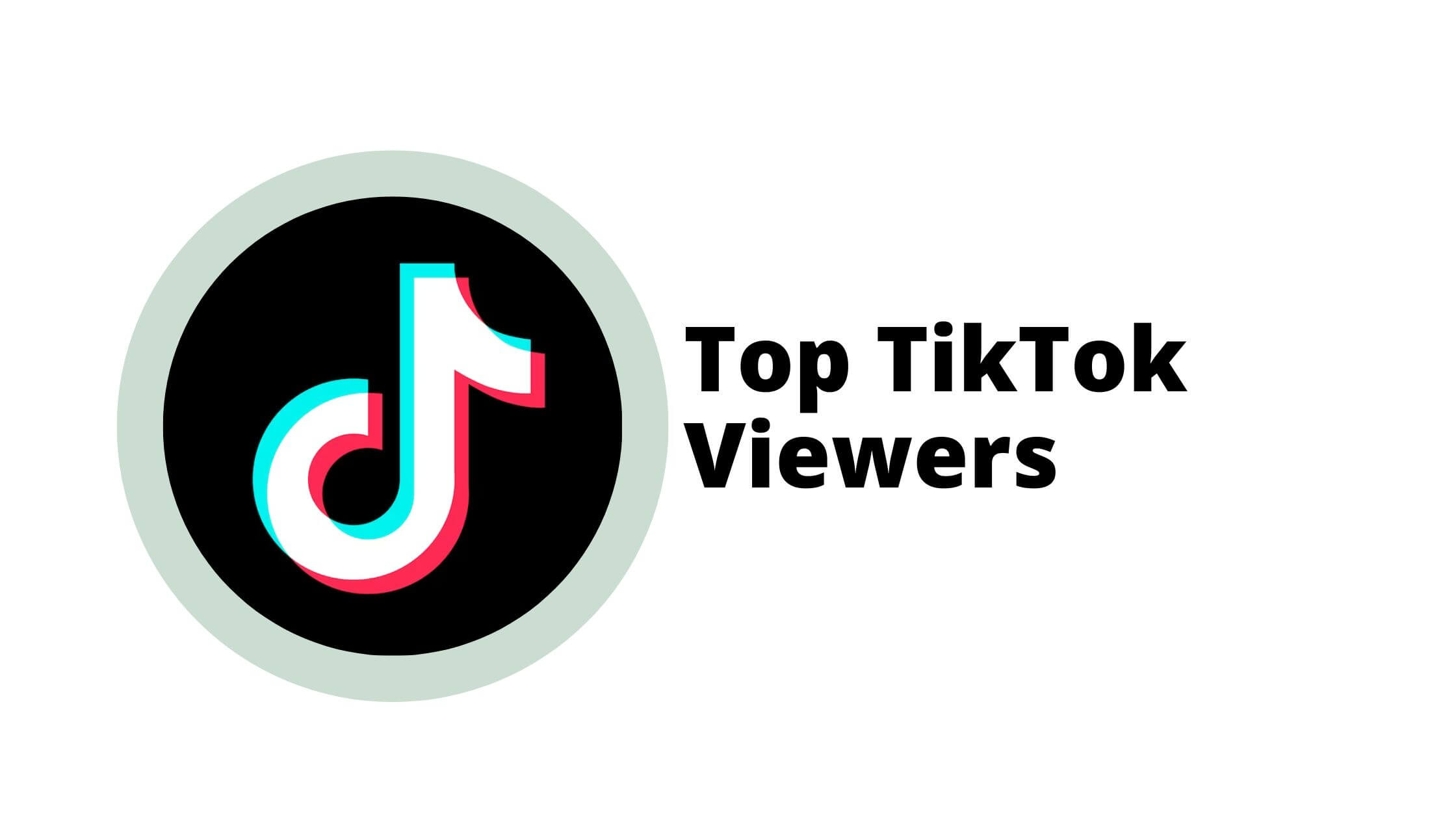 Top TikTok Viewers