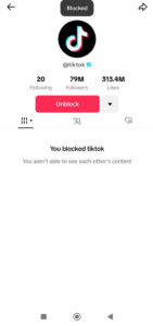 TikTok Account After Blocked