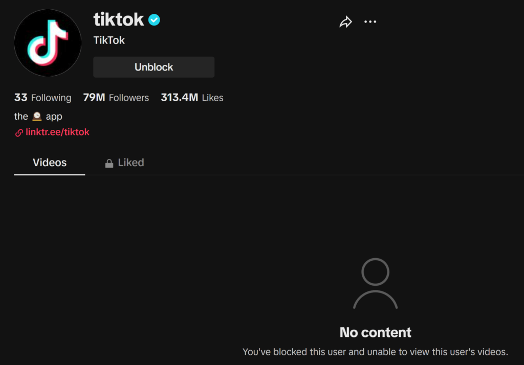 TikTok Interface After TikTok Block