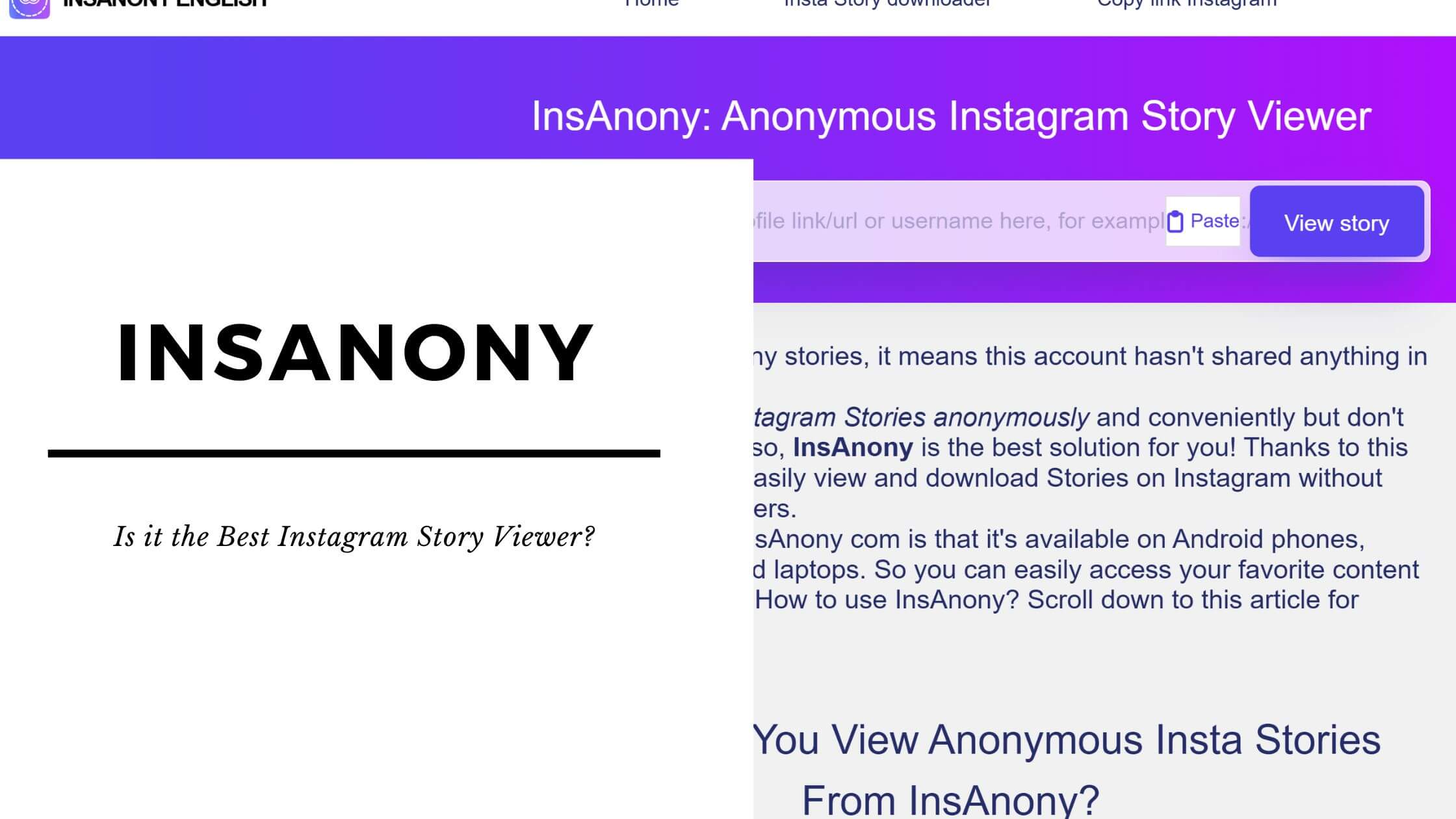 Insanony Is it the best Instagram story viewer