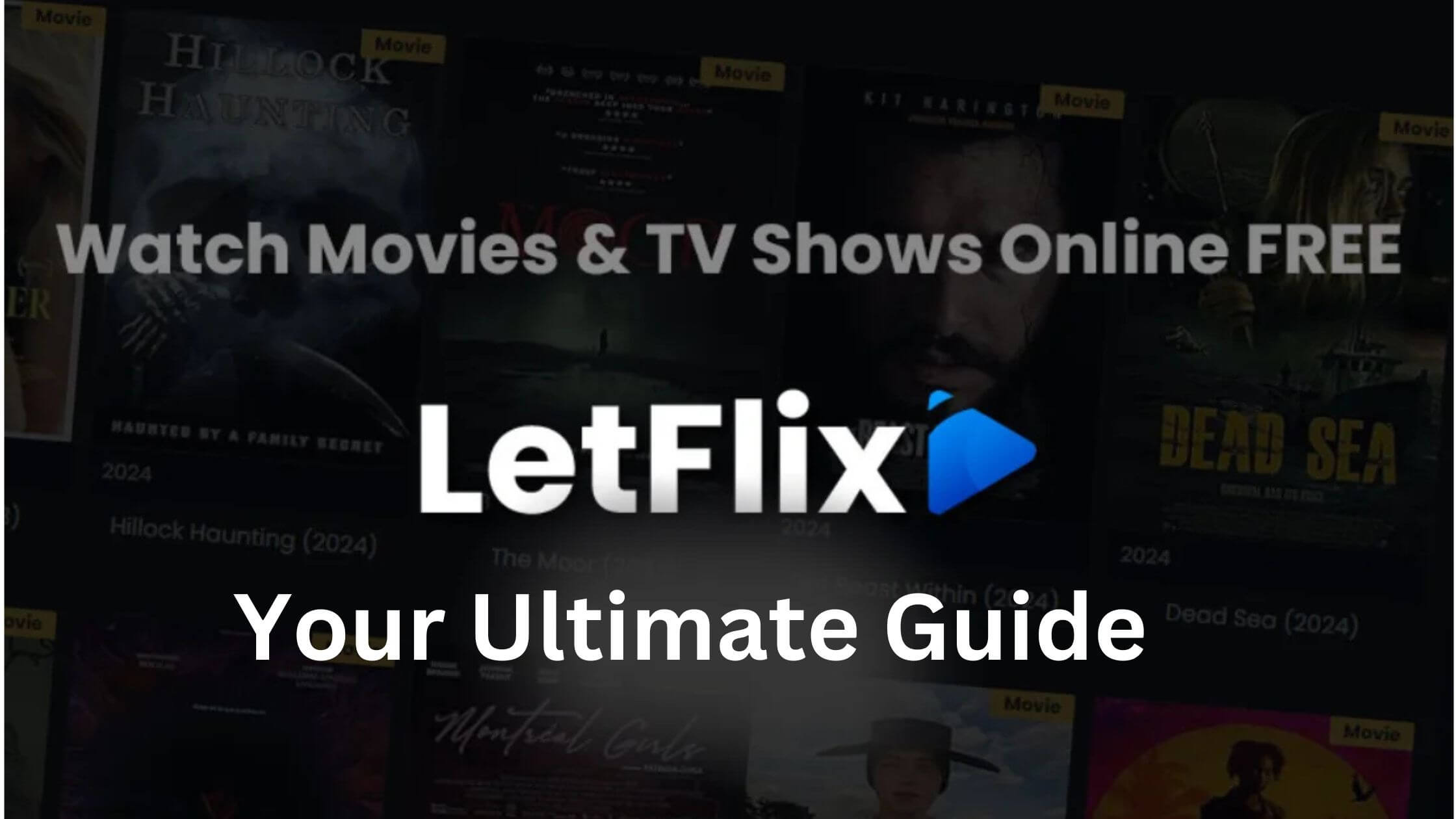 Letflix Guide